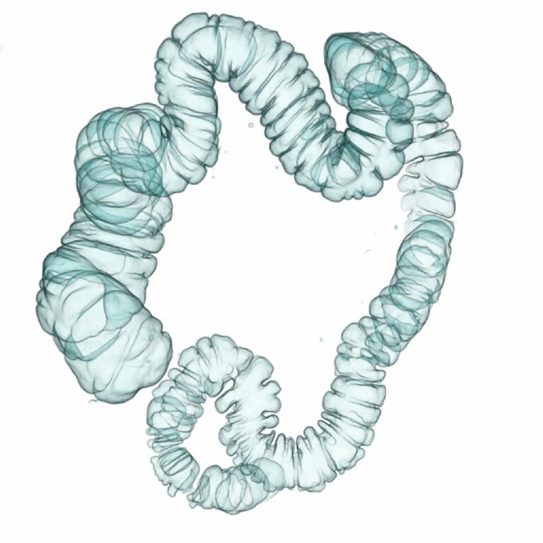 COLON VIRTUAL